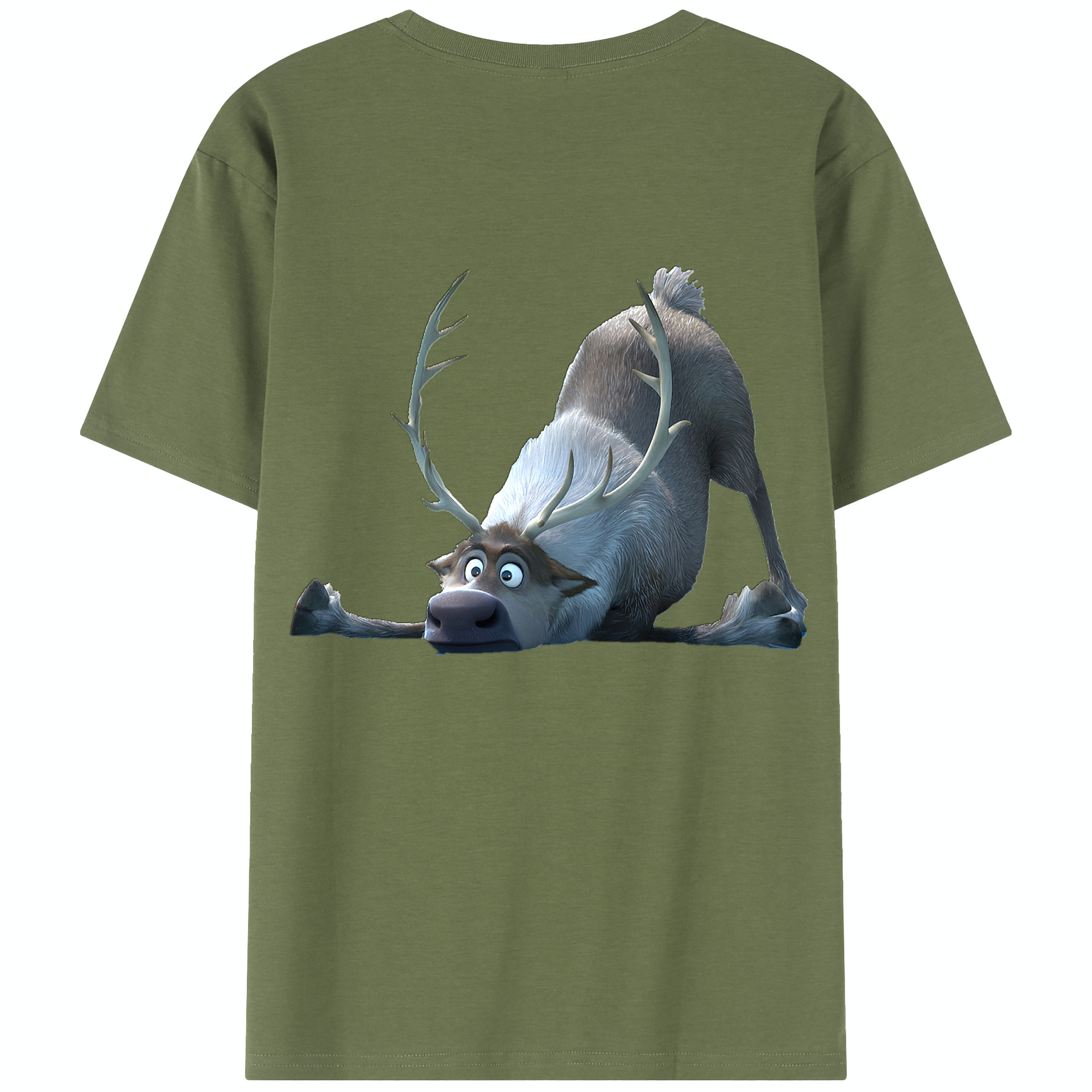 （画像用） アナと雪の女王 アンナ エルサ Frozen Anna Elsa 綿100％半袖Tシャツ（背面プリント）